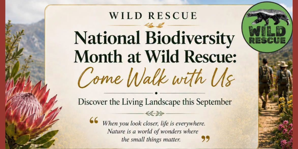 Wild Rescue Walk with us – 5 September 2026 resized.jpeg